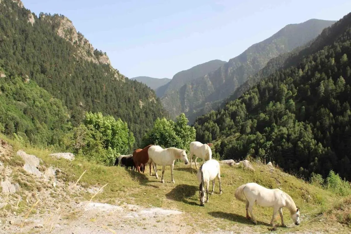 Chalet Casa Rural Cal Soldat Os de Civis